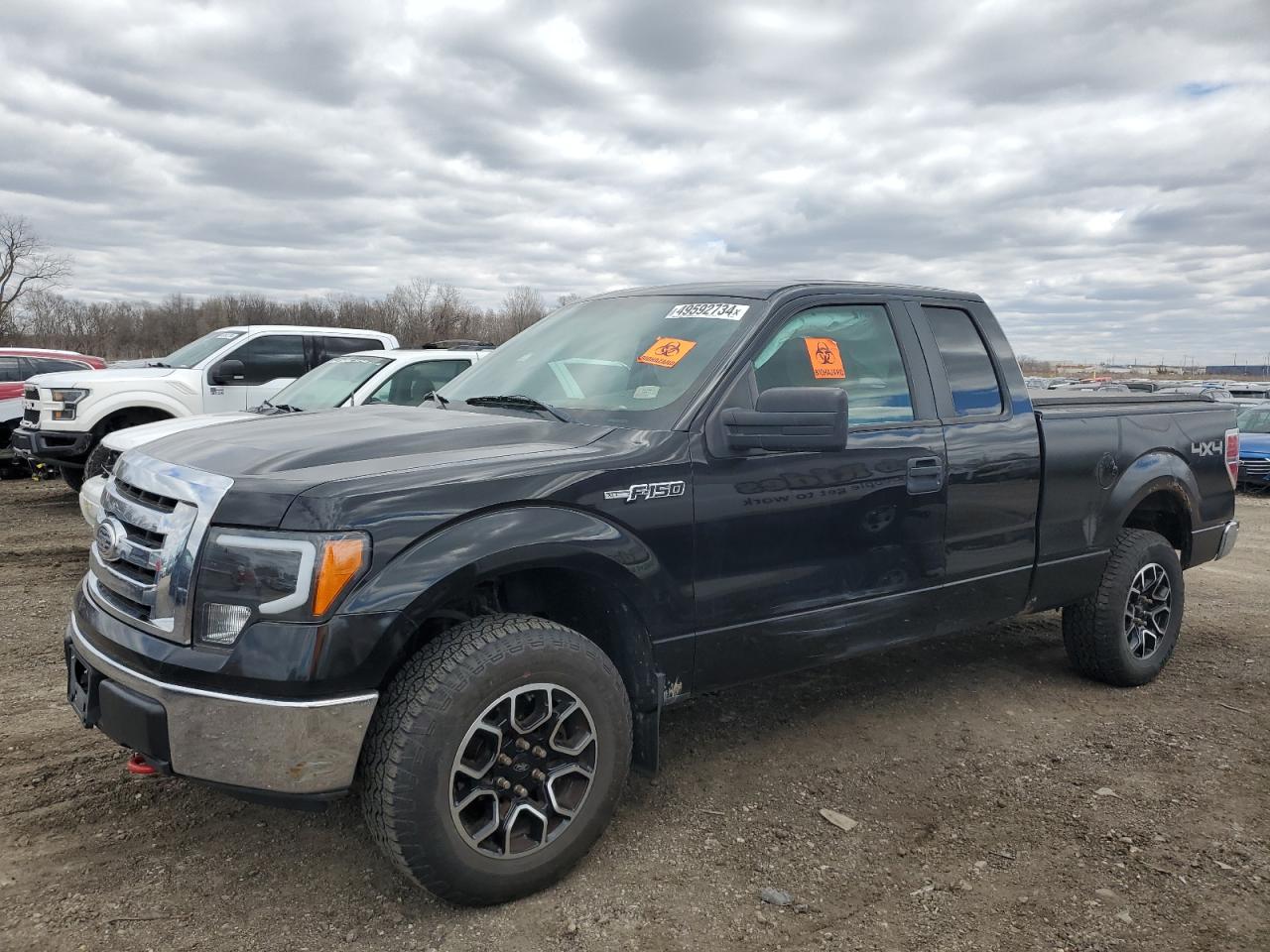 FORD F-150 2010 1ftex1e82akb70646