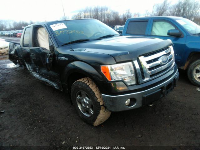 FORD F-150 2010 1ftex1e83afa38276