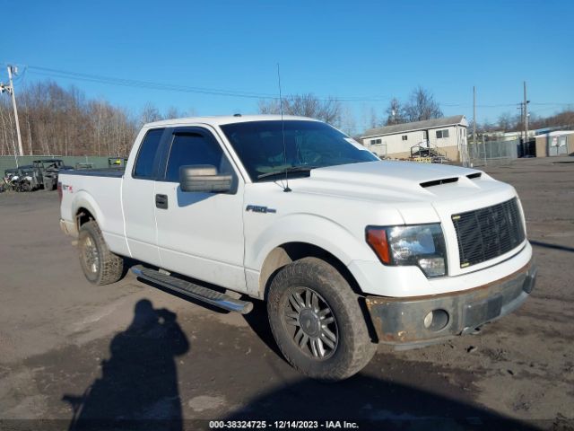 FORD F-150 2010 1ftex1e83afa44997