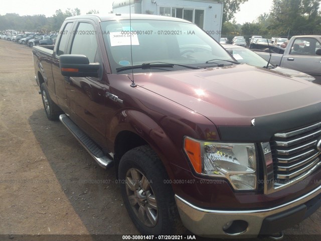 FORD F-150 2010 1ftex1e83afc39269