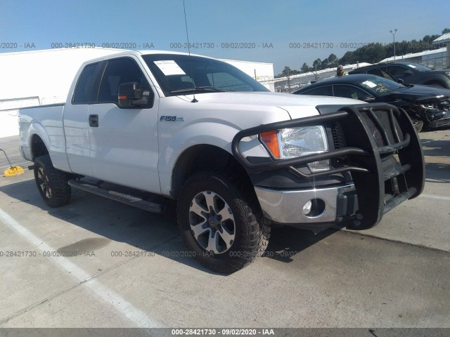 FORD F-150 2010 1ftex1e83afc78976