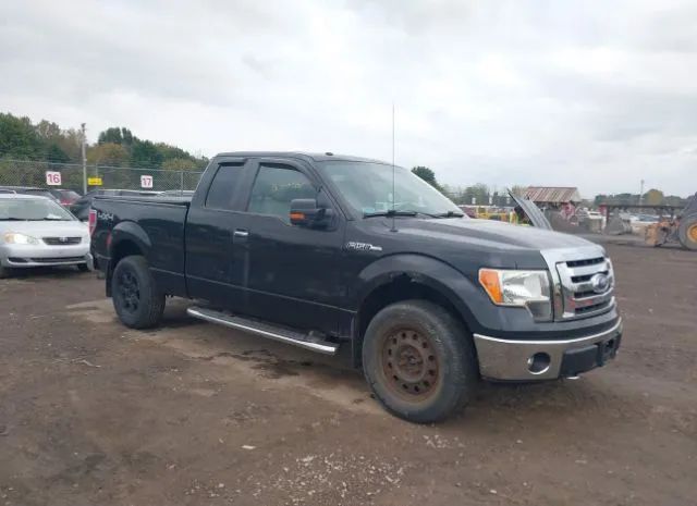 FORD F-150 2010 1ftex1e83afc87709