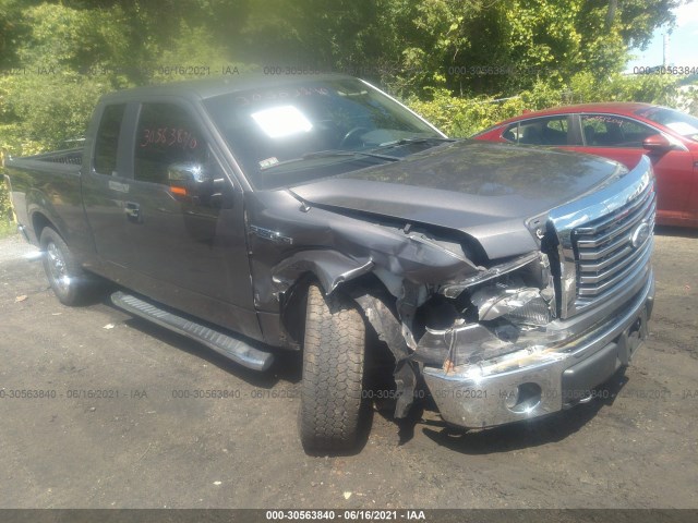 FORD F-150 2010 1ftex1e83afc94434