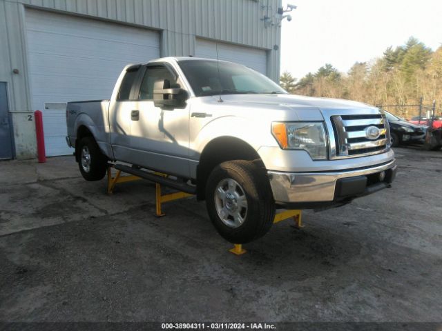 FORD F-150 2010 1ftex1e83afc99813