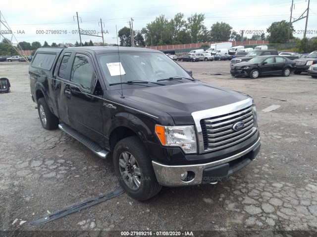 FORD F-150 2010 1ftex1e83afd15363