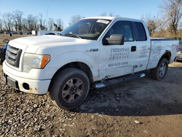 FORD F-150 2010 1ftex1e84afa30655