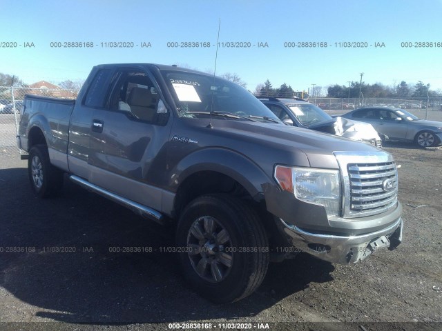 FORD F-150 2010 1ftex1e84afa57998