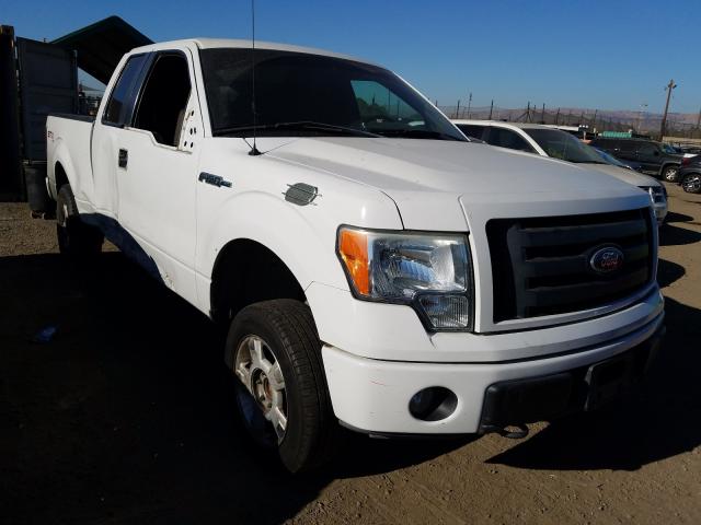 FORD F150 SUPER 2010 1ftex1e84afa69987