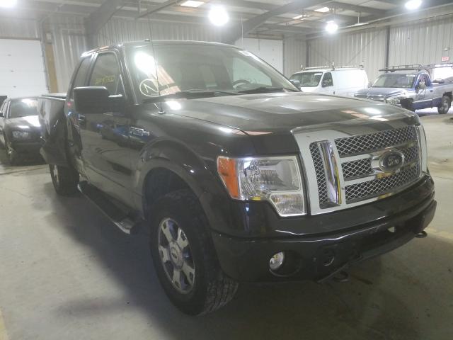 FORD F150 SUPER 2010 1ftex1e84afa94081