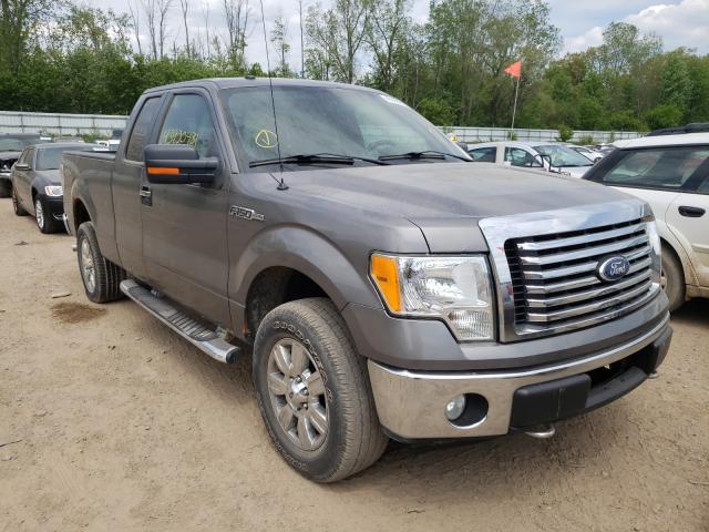 FORD F150 SUPER 2010 1ftex1e84afb38421