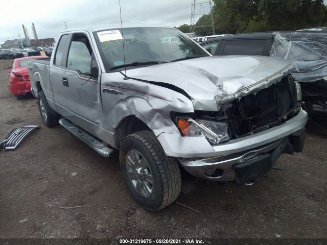 FORD F-150 2010 1ftex1e84afc06524