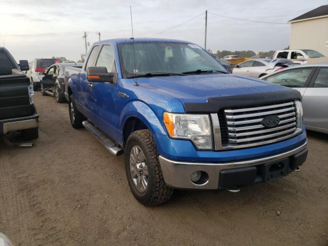 FORD F150 SUPER 2010 1ftex1e84afc12064