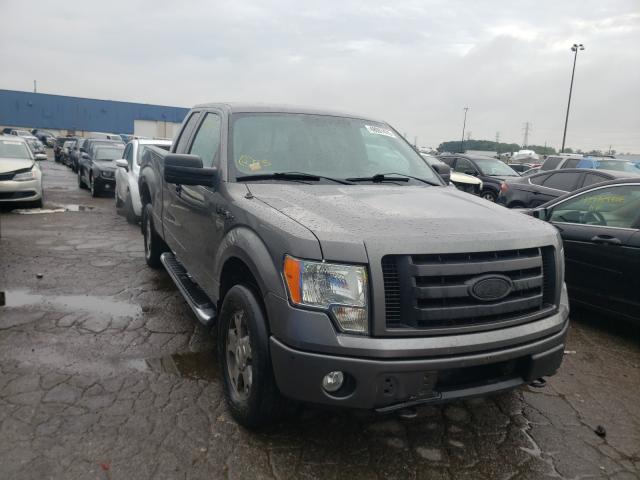 FORD F150 SUPER 2010 1ftex1e84afc48465