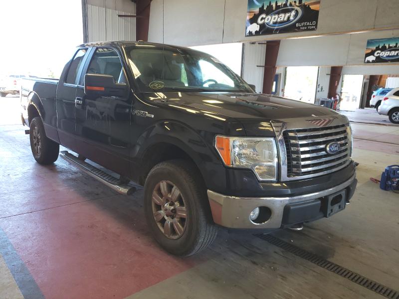 FORD F150 SUPER 2010 1ftex1e84afc76606