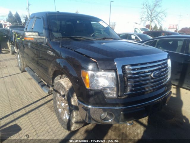 FORD F-150 2010 1ftex1e84afd42166