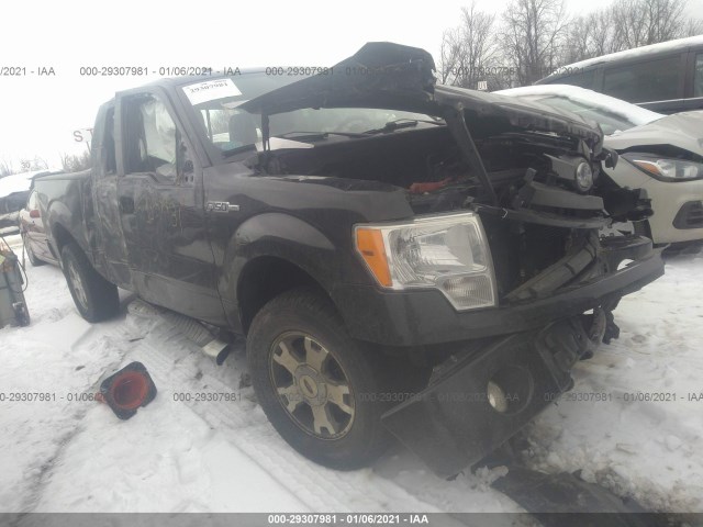 FORD F-150 2010 1ftex1e84afd75636