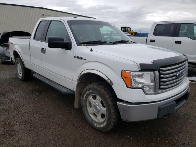 FORD F150 SUPER 2010 1ftex1e85afa10852