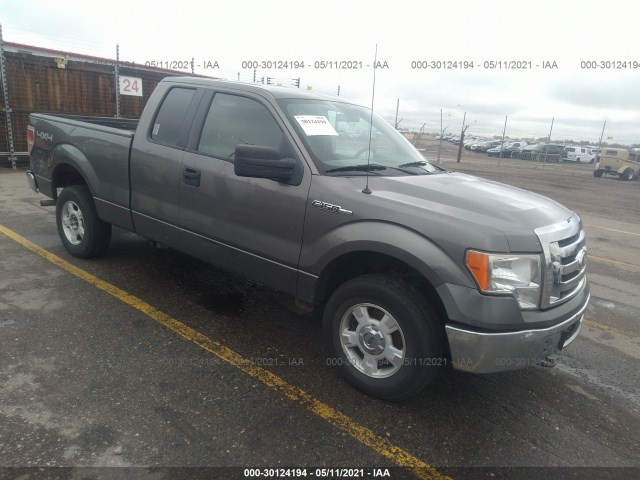 FORD F-150 2010 1ftex1e85afa73708