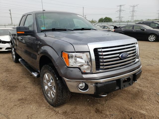 FORD F150 SUPER 2010 1ftex1e85afb15990