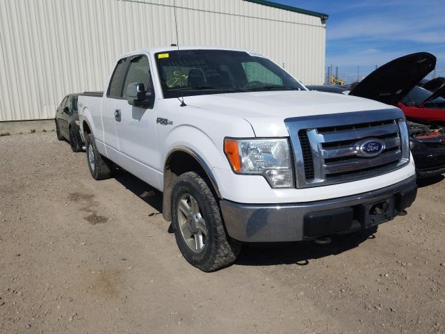 FORD F150 SUPER 2010 1ftex1e85afc08041