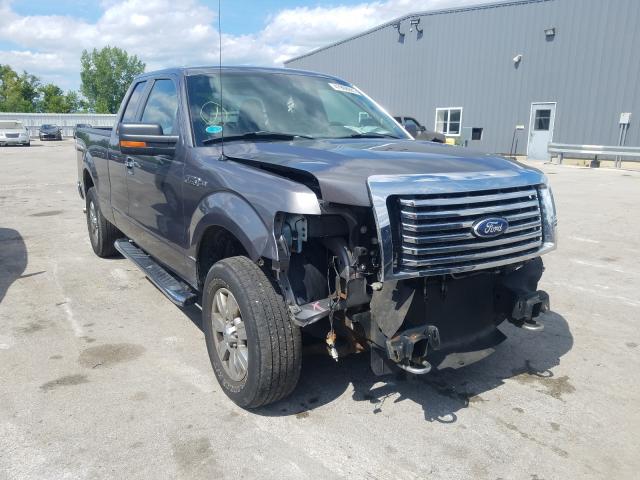 FORD F150 SUPER 2010 1ftex1e85afc46577