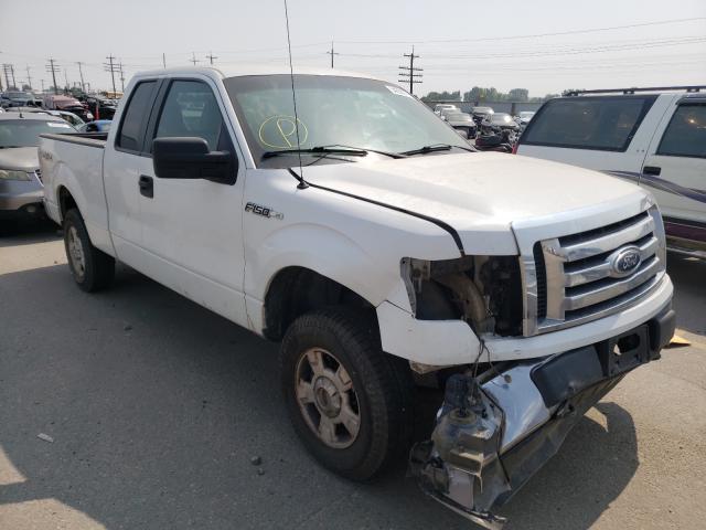 FORD F150 SUPER 2010 1ftex1e85afc63184