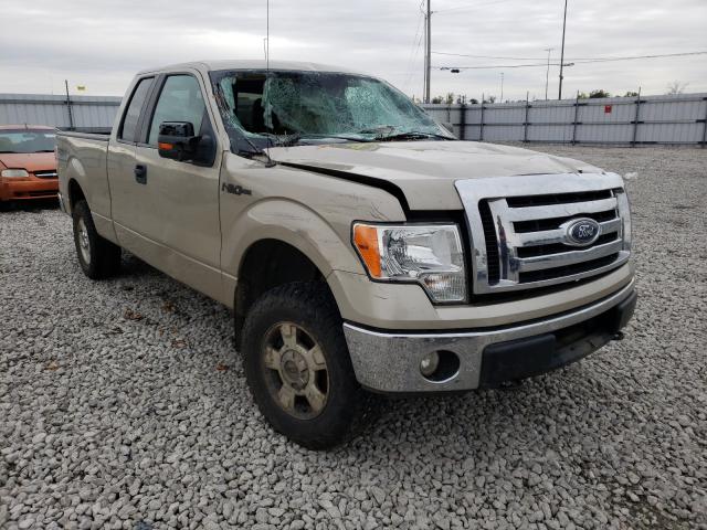 FORD F150 SUPER 2010 1ftex1e85akc54802