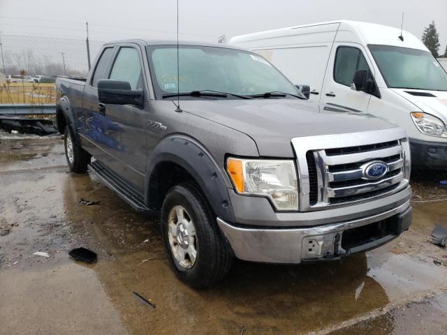 FORD F-150 2010 1ftex1e86afb06747