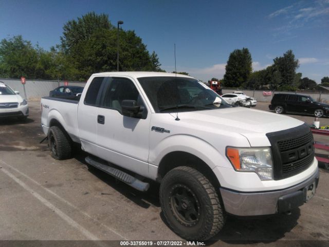 FORD F-150 2010 1ftex1e86afb13648