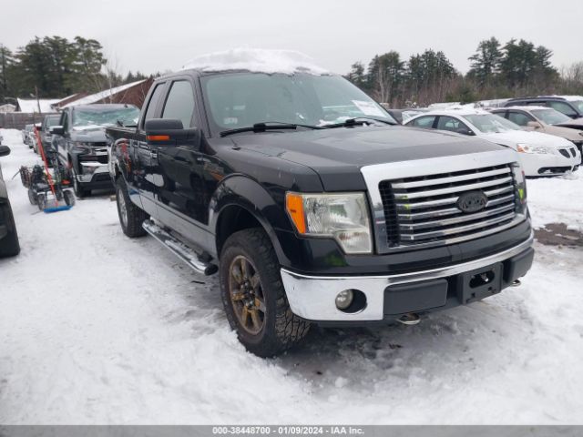 FORD F-150 2010 1ftex1e86afb18199