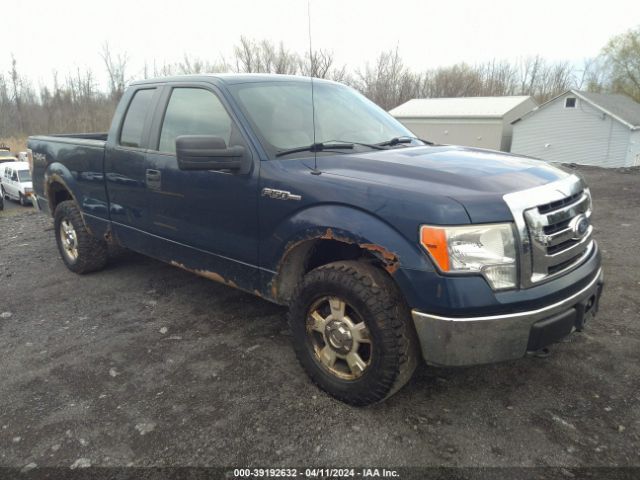 FORD F150 2010 1ftex1e86afc36558