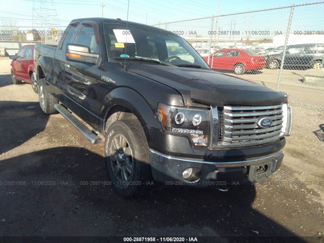 FORD F-150 2010 1ftex1e86afc39265