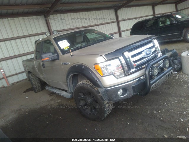 FORD F-150 2010 1ftex1e86aka14397