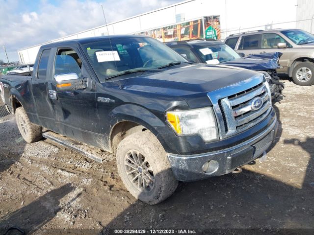 FORD F-150 2010 1ftex1e87afa76139