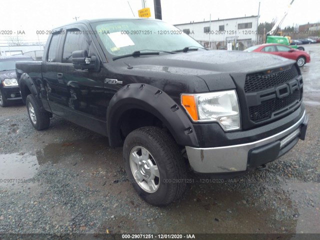 FORD F-150 2010 1ftex1e87afb20964