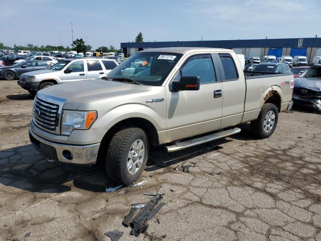 FORD F-150 2010 1ftex1e87afb78931