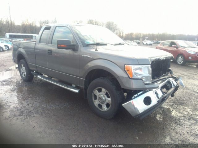 FORD F-150 2010 1ftex1e87afc95845