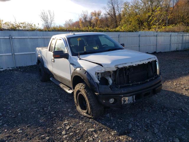 FORD F150 SUPER 2010 1ftex1e87afd14121