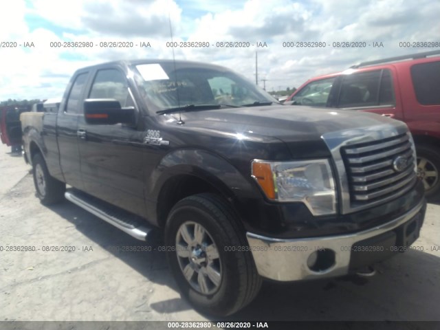 FORD F-150 2010 1ftex1e87afd54103