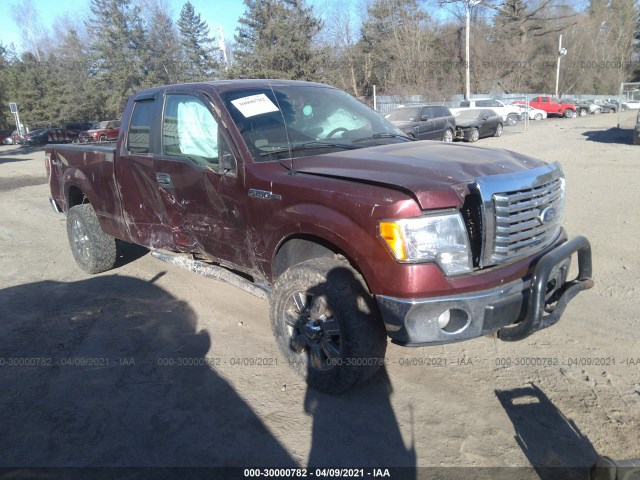 FORD F-150 2010 1ftex1e87afd59995