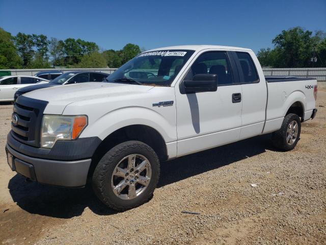 FORD F-150 2010 1ftex1e88afc46069