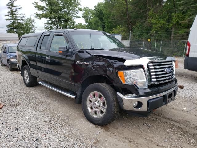 FORD F150 SUPER 2010 1ftex1e88afc83056