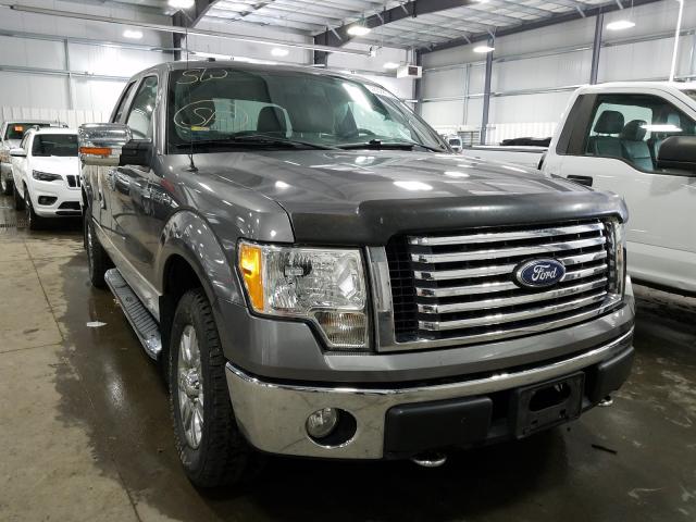 FORD F150 SUPER 2010 1ftex1e88afd36113