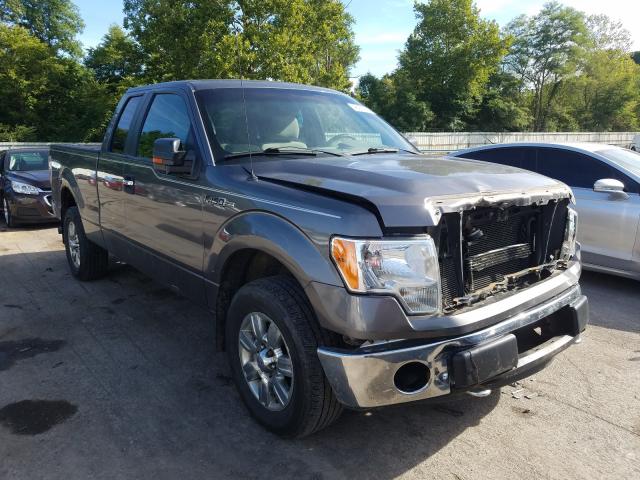 FORD F150 SUPER 2010 1ftex1e88afd52604