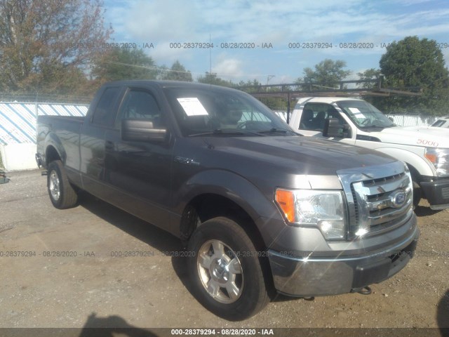 FORD F-150 2010 1ftex1e89afb91339