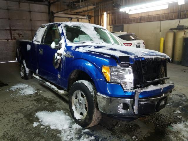 FORD F150 SUPER 2010 1ftex1e89afd41904