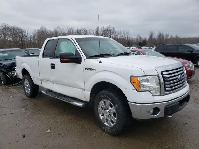 FORD F150 SUPER 2010 1ftex1e8xafa92495