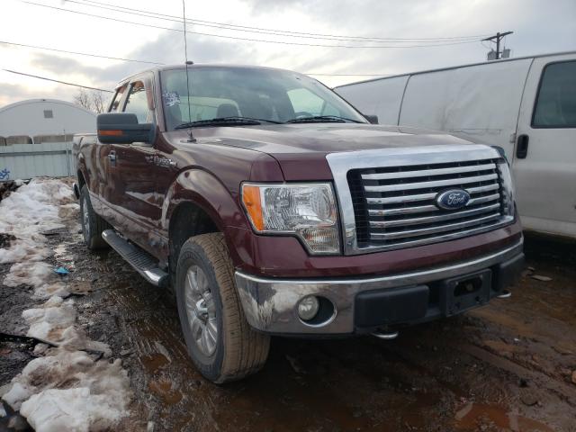 FORD F150 SUPER 2010 1ftex1e8xafb04628