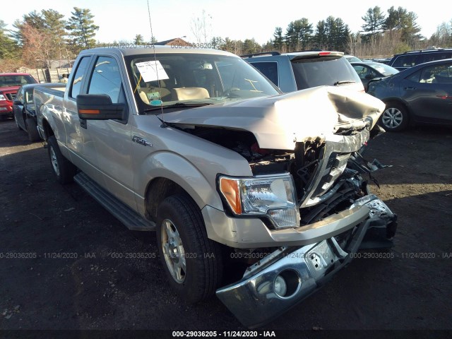 FORD F-150 2010 1ftex1e8xafc20458