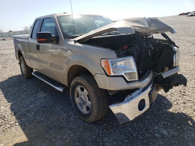 FORD F150 SUPER 2010 1ftex1e8xake31022